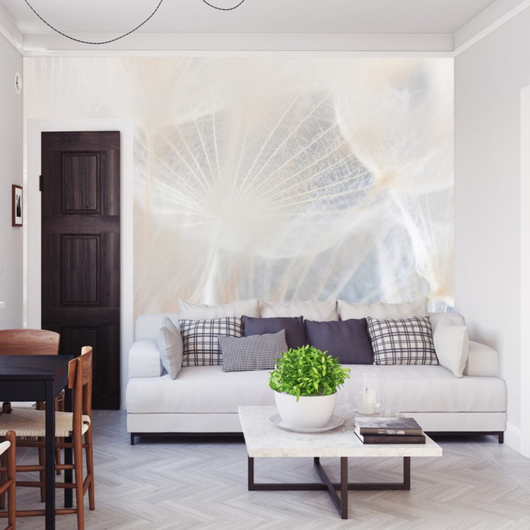 Fototapeta Abstract Dandeli. Seed Macro Closeup. Soft Focus