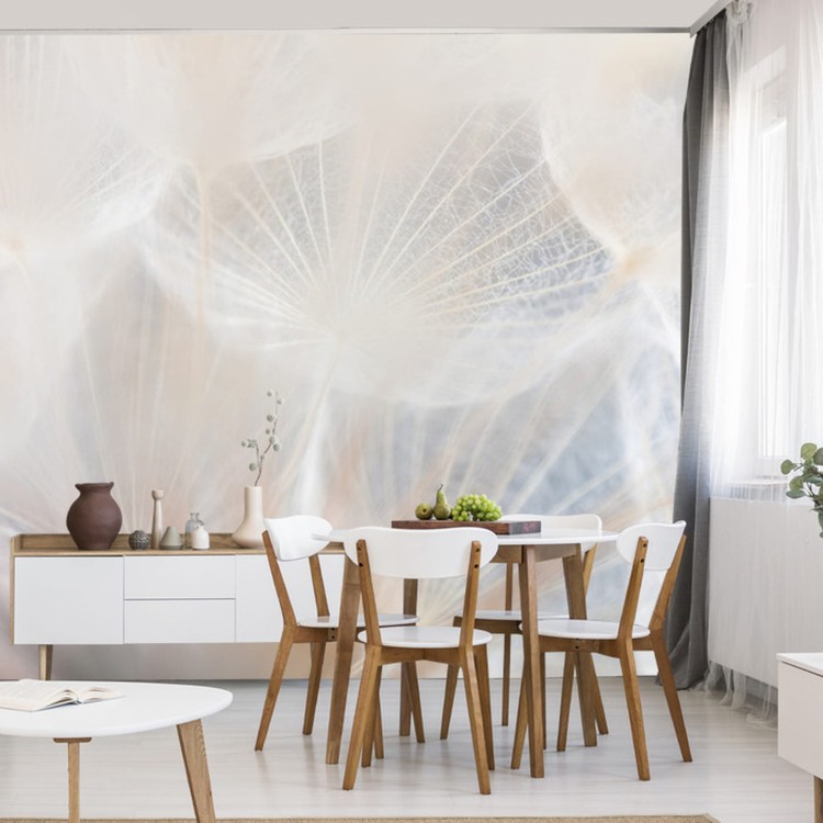 Fototapeta Abstract Dandeli. Seed Macro Closeup. Soft Focus