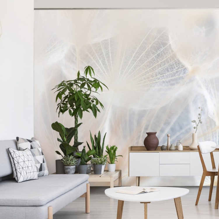 Fototapeta Abstract Dandeli. Seed Macro Closeup. Soft Focus