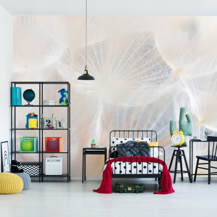 Fototapeta Abstract Dandeli. Seed Macro Closeup. Soft Focus