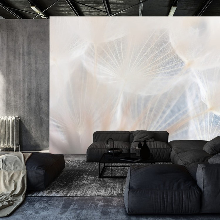 Fototapeta Abstract Dandeli. Seed Macro Closeup. Soft Focus