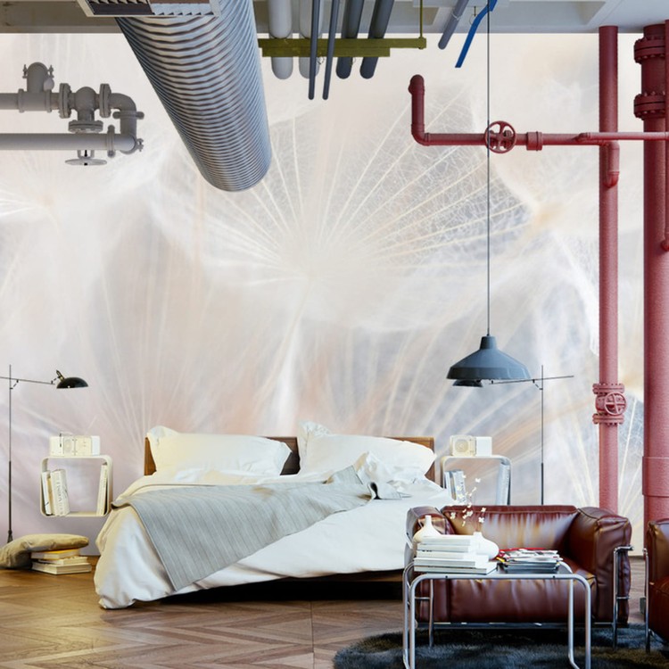 Fototapeta Abstract Dandeli. Seed Macro Closeup. Soft Focus