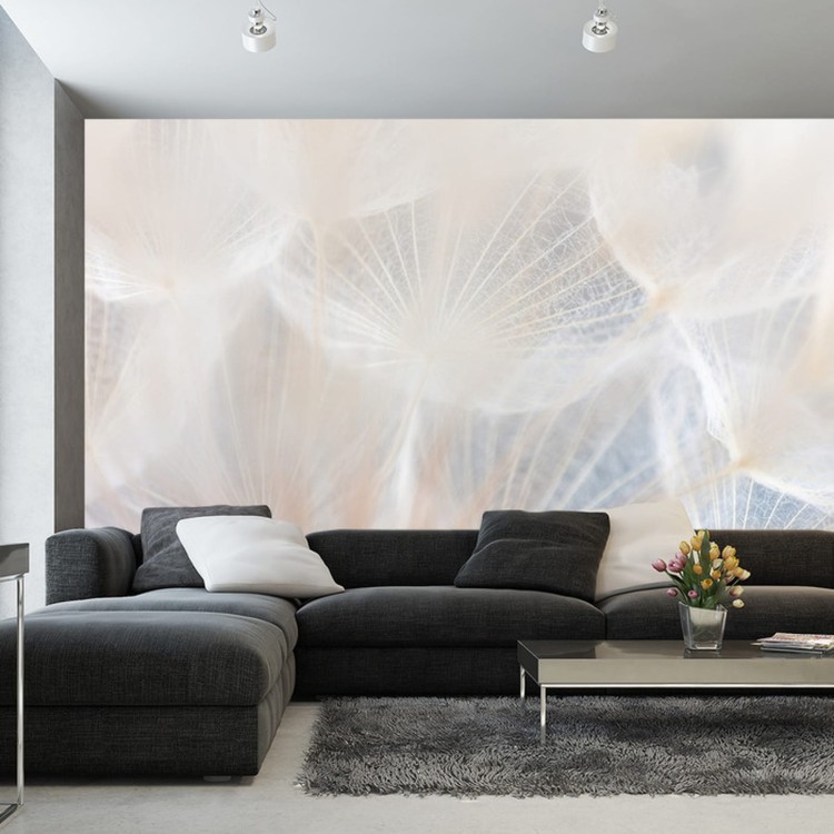 Fototapeta Abstract Dandeli. Seed Macro Closeup. Soft Focus