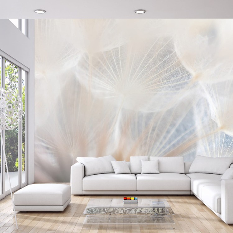 Fototapeta Abstract Dandeli. Seed Macro Closeup. Soft Focus