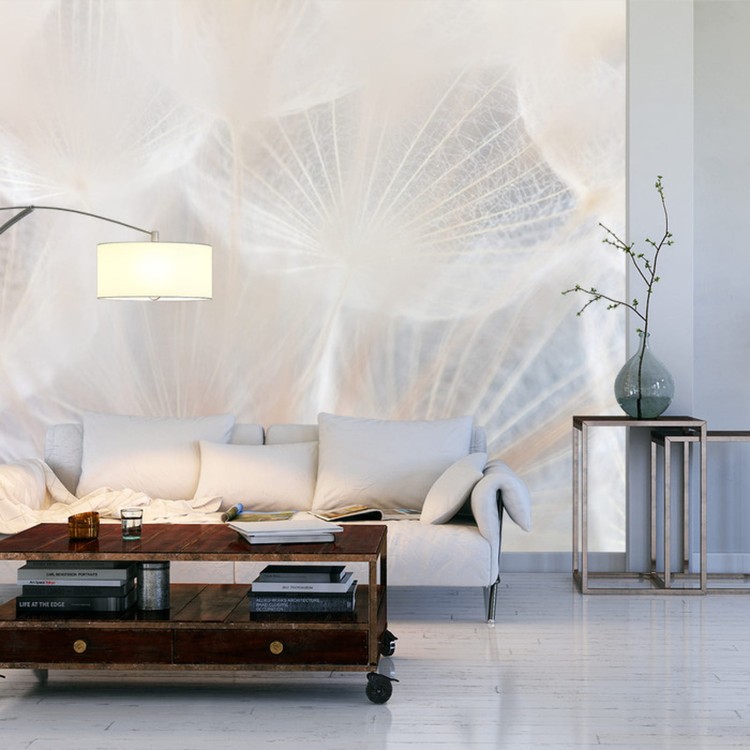 Fototapeta Abstract Dandeli. Seed Macro Closeup. Soft Focus