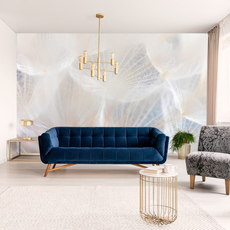 Fototapeta Abstract Dandeli. Seed Macro Closeup. Soft Focus