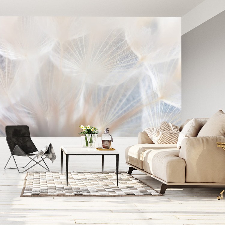 Fototapeta Abstract Dandeli. Seed Macro Closeup. Soft Focus