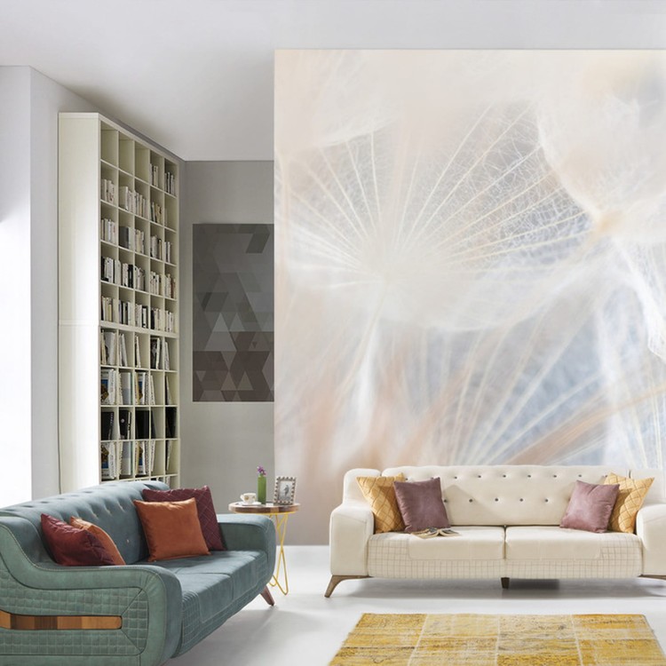 Fototapeta Abstract Dandeli. Seed Macro Closeup. Soft Focus