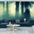 Fototapeta Abstract Bear Background. Bear Double Exposure Background