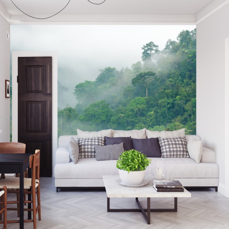 Fototapeta Rainforest Morning Fog