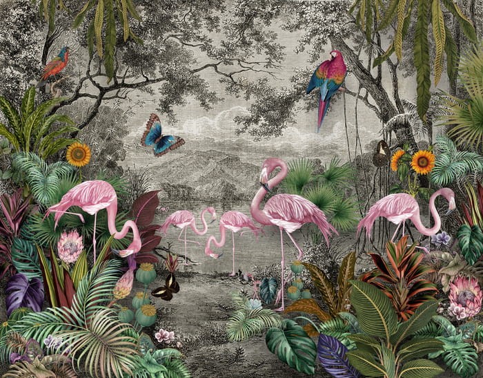 Fototapeta Wallpaper Jungle And Tropical Forest Banana Palm And Tropical Birds, Old Drawing