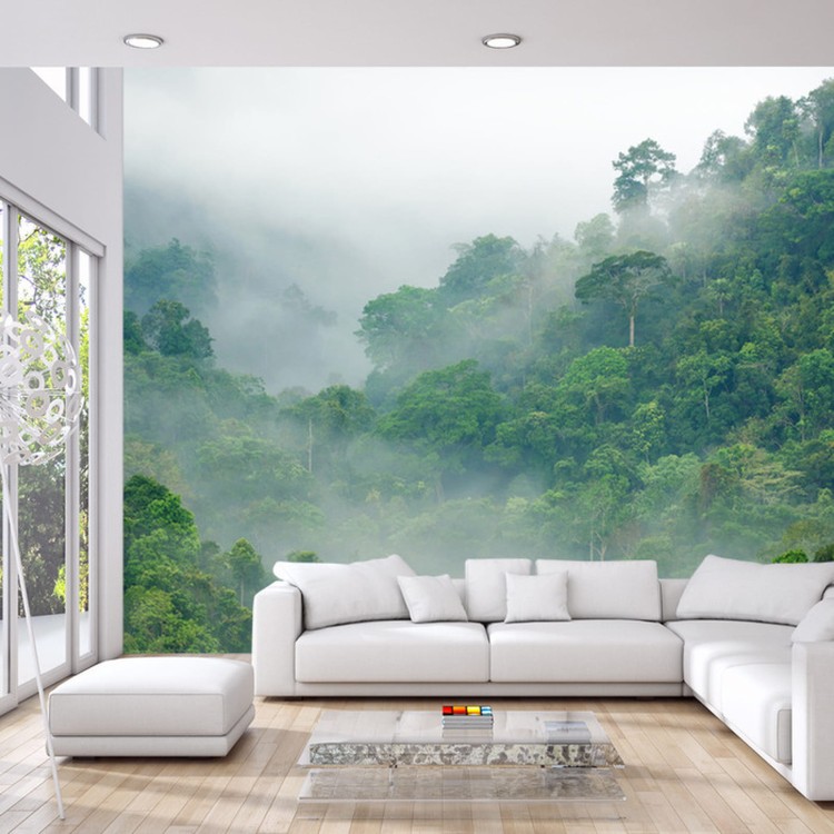 Fototapeta Rainforest Morning Fog