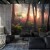 Fototapeta Colorful Sunset Forest Scenery With Beautiful Trees And Plants, Natural Green Environment With Amazing Nature