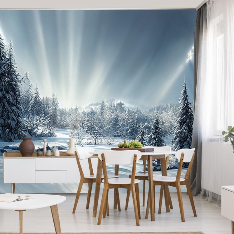 Fototapeta Beautiful Winter Landscape. Majestic White Spruces Glowing By Sunlight. Picturesque And Gorgeous Wintry Scene.