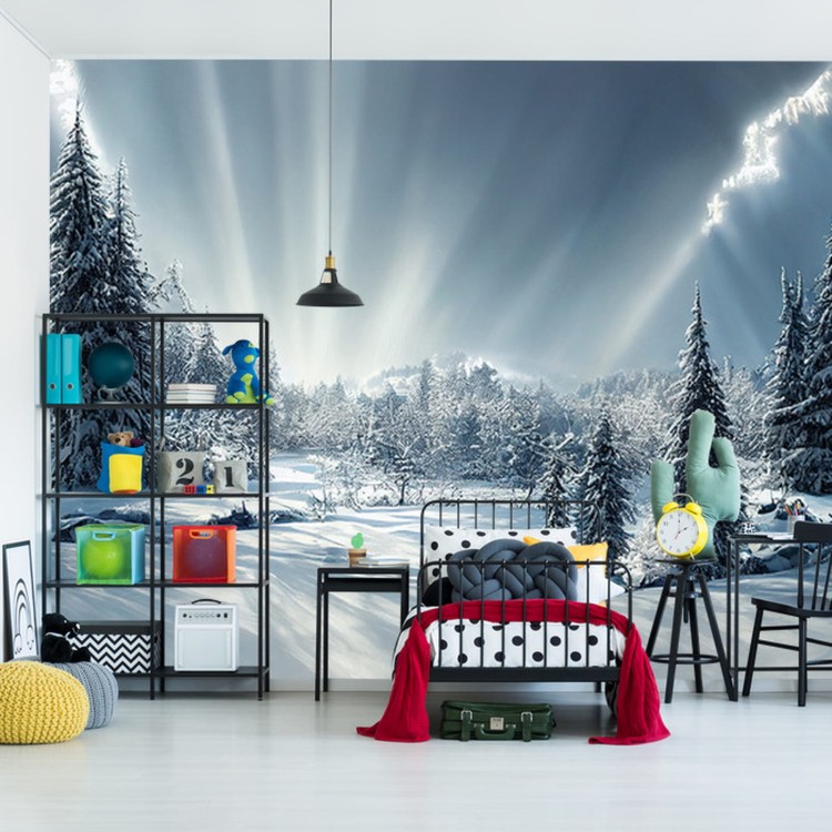 Fototapeta Beautiful Winter Landscape. Majestic White Spruces Glowing By Sunlight. Picturesque And Gorgeous Wintry Scene.