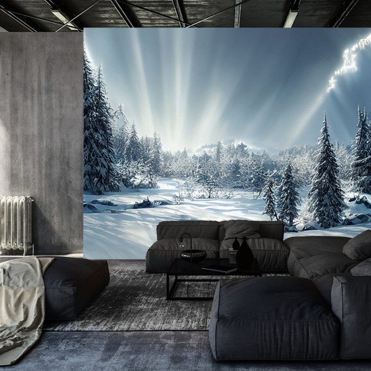 Fototapeta Beautiful Winter Landscape. Majestic White Spruces Glowing By Sunlight. Picturesque And Gorgeous Wintry Scene.