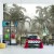 Fototapeta Tropical Trees And Leaves For Digital Printing Wallpaper, Custom Design Wallpaper - 3D