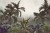 Fototapeta Tropical Trees And Leaves For Digital Printing Wallpaper, Custom Design Wallpaper - 3D