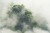Fototapeta Tropical Forest In Japan, Nature Jungle With Green Tree And Fog, Concept Of Zin Therapy Comfortable Freedom Relaxing For Spa And Yoga, Eco Natural Sustainable Conservation
