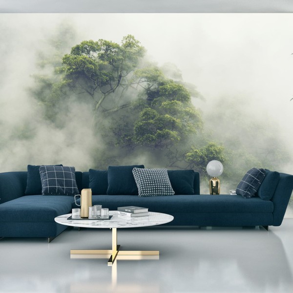 Fototapeta Tropical Forest In Japan, Nature Jungle With Green Tree And Fog, Concept Of Zin Therapy Comfortable Freedom Relaxing For Spa And Yoga, Eco Natural Sustainable Conservation