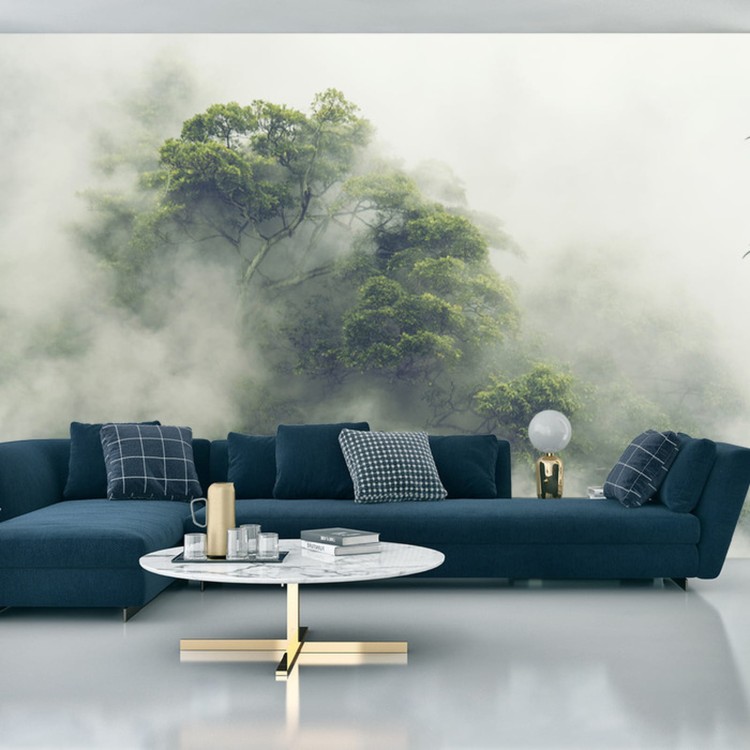 Fototapeta Tropical Forest In Japan, Nature Jungle With Green Tree And Fog, Concept Of Zin Therapy Comfortable Freedom Relaxing For Spa And Yoga, Eco Natural Sustainable Conservation