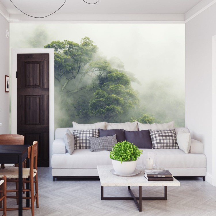 Fototapeta Tropical Forest In Japan, Nature Jungle With Green Tree And Fog, Concept Of Zin Therapy Comfortable Freedom Relaxing For Spa And Yoga, Eco Natural Sustainable Conservation