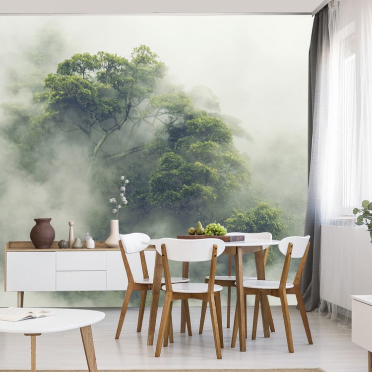 Fototapeta Tropical Forest In Japan, Nature Jungle With Green Tree And Fog, Concept Of Zin Therapy Comfortable Freedom Relaxing For Spa And Yoga, Eco Natural Sustainable Conservation