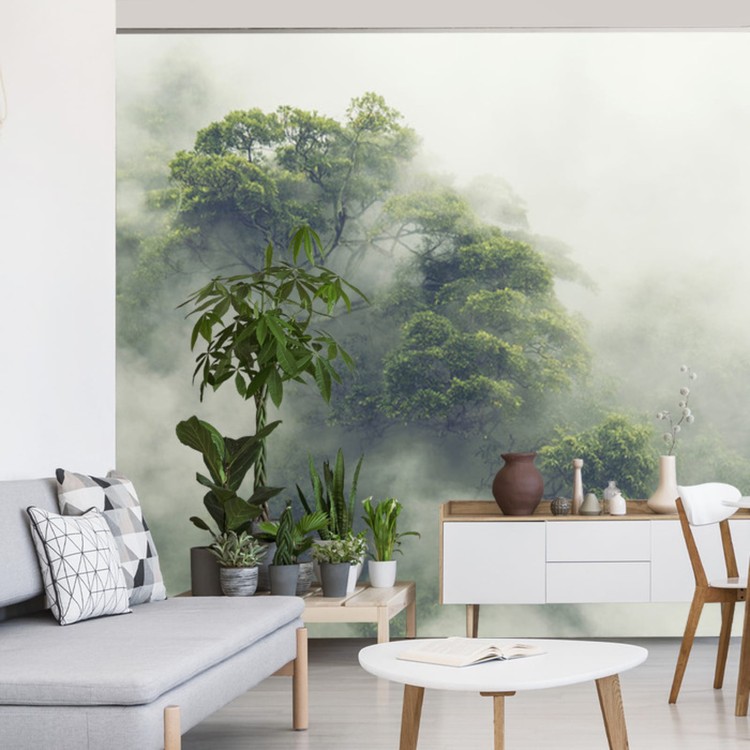 Fototapeta Tropical Forest In Japan, Nature Jungle With Green Tree And Fog, Concept Of Zin Therapy Comfortable Freedom Relaxing For Spa And Yoga, Eco Natural Sustainable Conservation