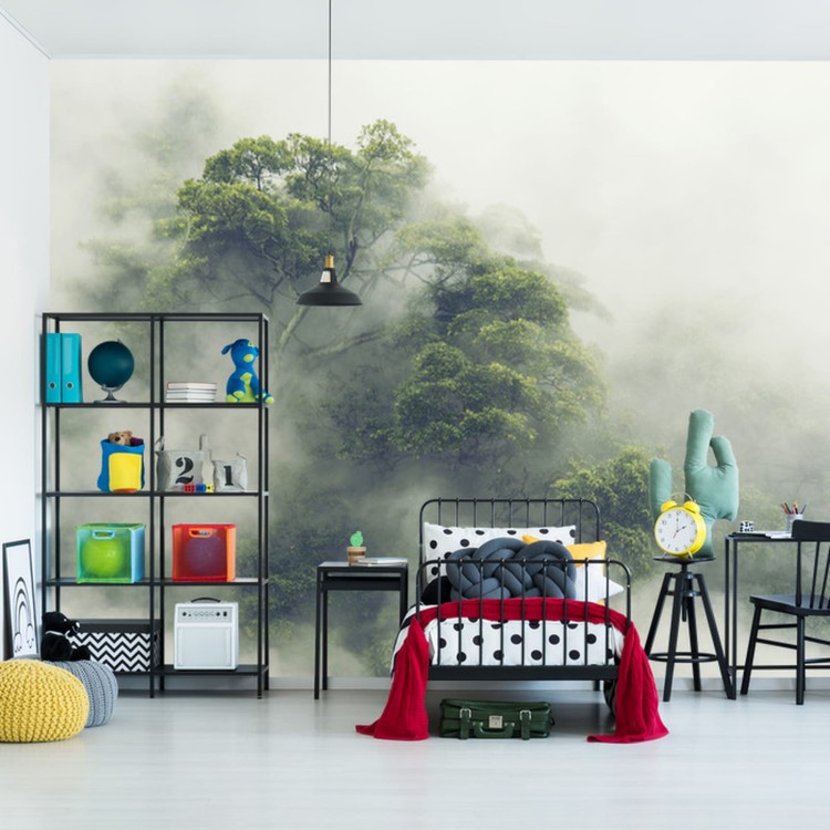 Fototapeta Tropical Forest In Japan, Nature Jungle With Green Tree And Fog, Concept Of Zin Therapy Comfortable Freedom Relaxing For Spa And Yoga, Eco Natural Sustainable Conservation