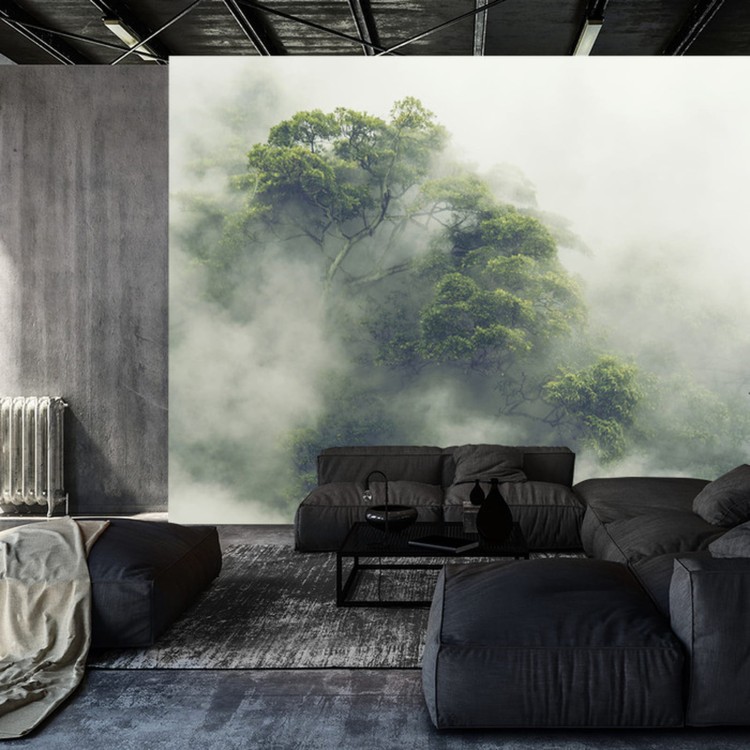 Fototapeta Tropical Forest In Japan, Nature Jungle With Green Tree And Fog, Concept Of Zin Therapy Comfortable Freedom Relaxing For Spa And Yoga, Eco Natural Sustainable Conservation