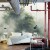 Fototapeta Tropical Forest In Japan, Nature Jungle With Green Tree And Fog, Concept Of Zin Therapy Comfortable Freedom Relaxing For Spa And Yoga, Eco Natural Sustainable Conservation
