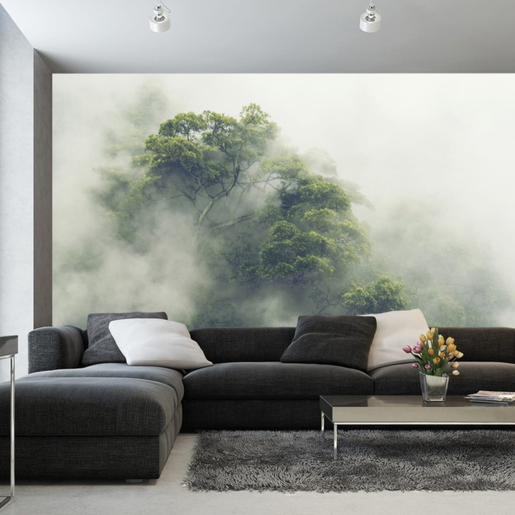 Fototapeta Tropical Forest In Japan, Nature Jungle With Green Tree And Fog, Concept Of Zin Therapy Comfortable Freedom Relaxing For Spa And Yoga, Eco Natural Sustainable Conservation