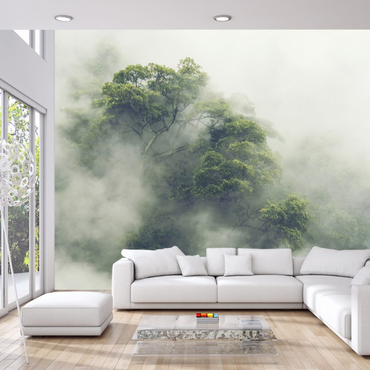 Fototapeta Tropical Forest In Japan, Nature Jungle With Green Tree And Fog, Concept Of Zin Therapy Comfortable Freedom Relaxing For Spa And Yoga, Eco Natural Sustainable Conservation