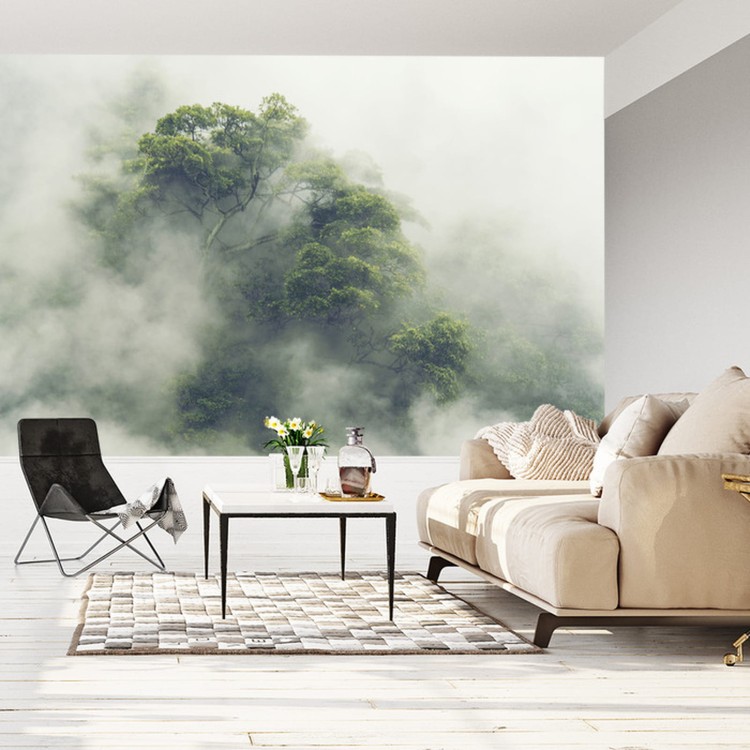 Fototapeta Tropical Forest In Japan, Nature Jungle With Green Tree And Fog, Concept Of Zin Therapy Comfortable Freedom Relaxing For Spa And Yoga, Eco Natural Sustainable Conservation
