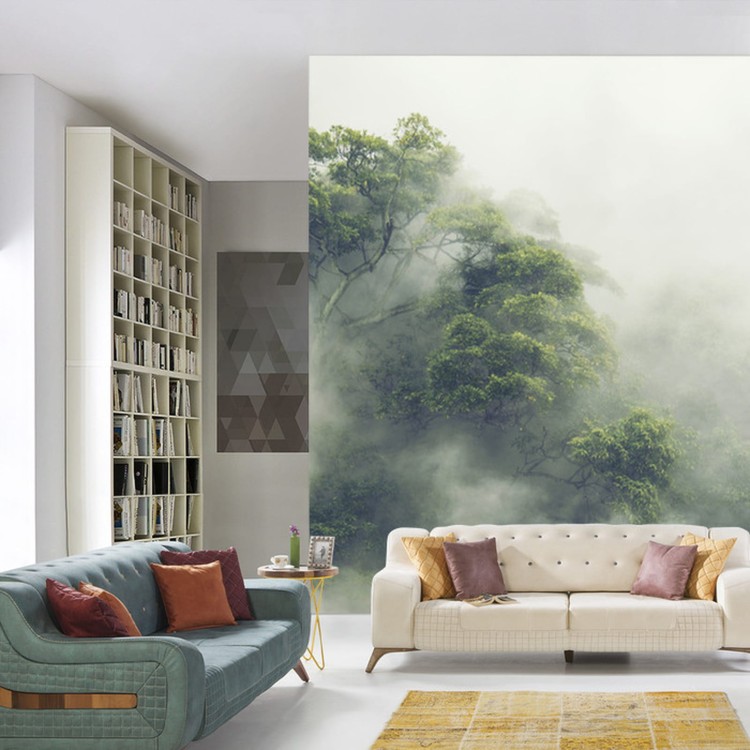 Fototapeta Tropical Forest In Japan, Nature Jungle With Green Tree And Fog, Concept Of Zin Therapy Comfortable Freedom Relaxing For Spa And Yoga, Eco Natural Sustainable Conservation
