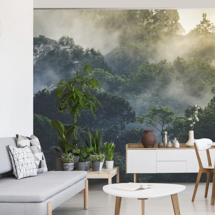 Fototapeta Landscape Of Asia Tropical Rainforest, Canopy Tree Of Jungle Green Forest Park Outdoor, Nature Environment Mountain View, Concept Of Freedom Relaxation In Holiday For Spa Yoga And Retreat