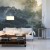 Fototapeta Landscape Of Asia Tropical Rainforest, Canopy Tree Of Jungle Green Forest Park Outdoor, Nature Environment Mountain View, Concept Of Freedom Relaxation In Holiday For Spa Yoga And Retreat