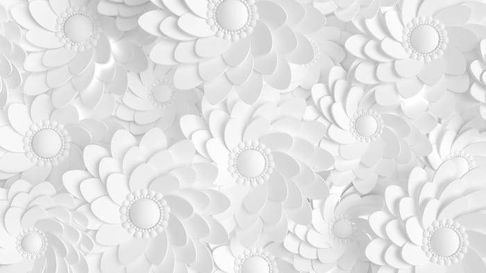 Fototapeta Beautiful, Elegant Paper Flower In The Style Of Hand-Made On A White Wall. 3D
