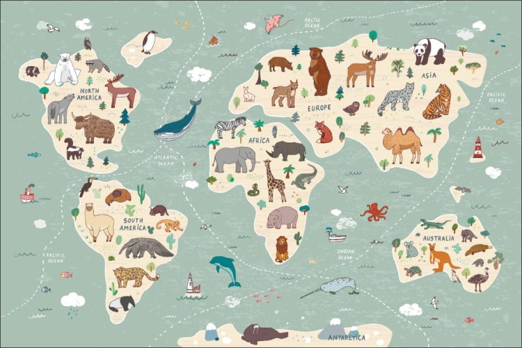Fototapeta Kolorowa Mapa Świata Dla Dzieci