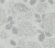 5567249f9e3d1b5213cc1eade69b2580