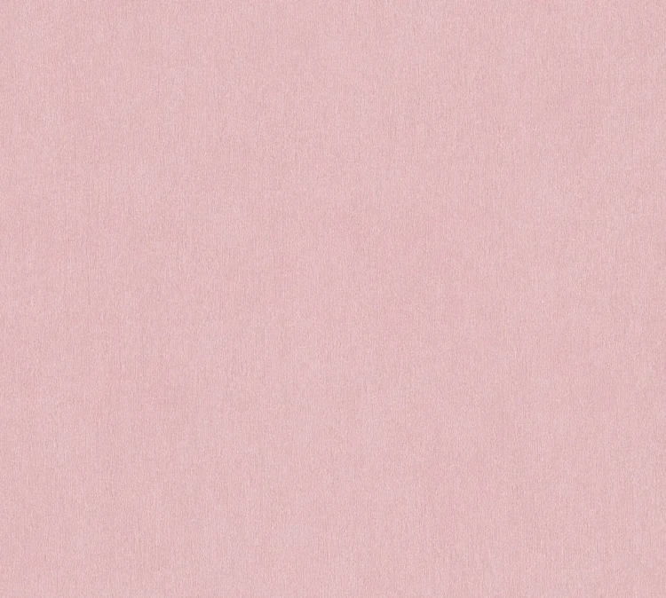 50b2f2cffbefb537f721978e9522a485
