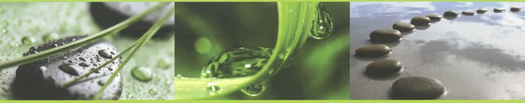 9e085a7614a750d3eaab9b5f41877415