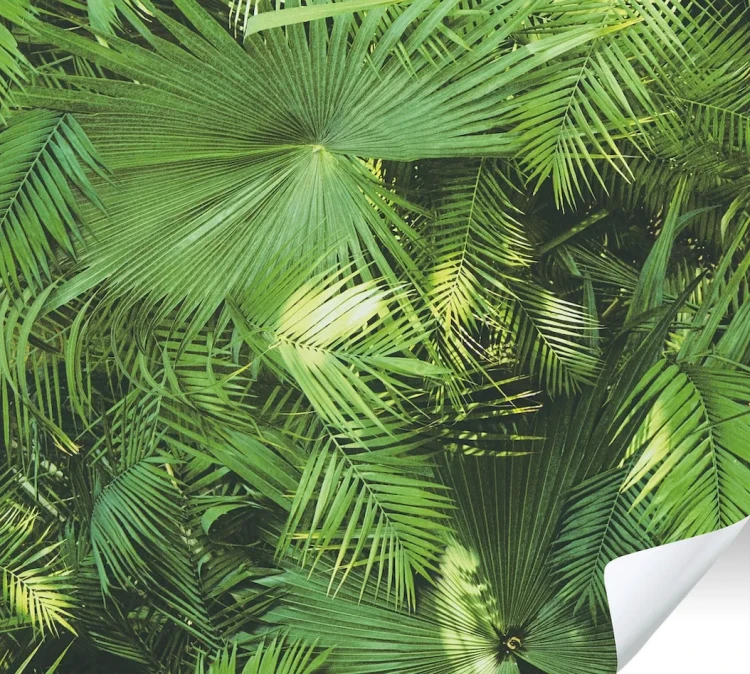 eaeca4d908eaf6e1274c625f3defc1cf