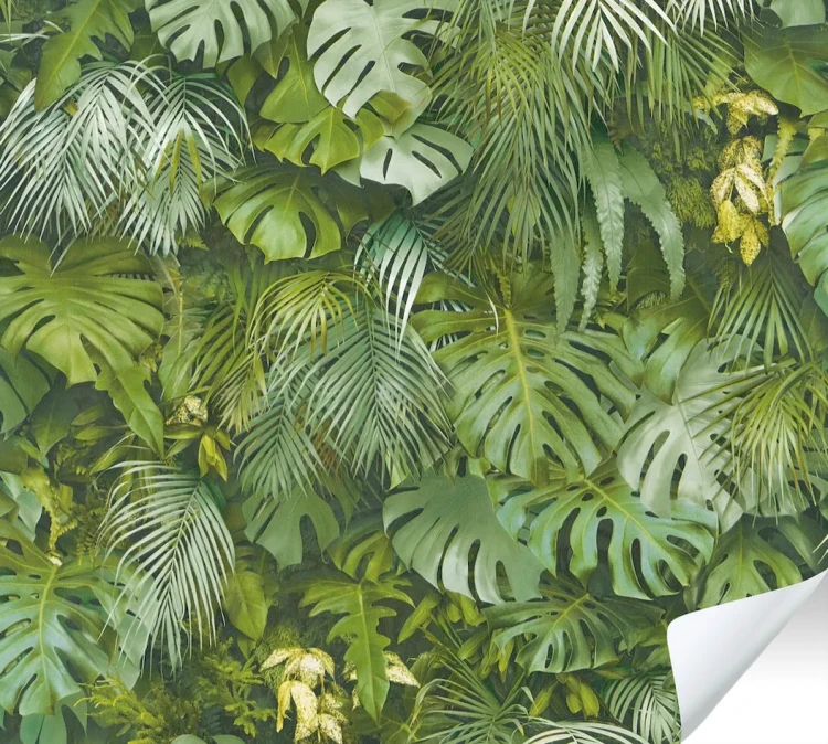 4d344eb6dc549e9a8635c0e411691113