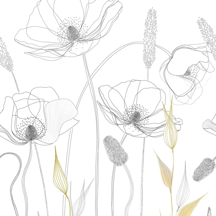 6c5ef4166af97bb2dbbb810cb82c11f8