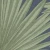 51adbc6d204a2432f5934c8f7ddda535