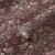 b20d038393c399db82ce27454549c8ad