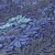 ad884c753f668a29c8c0989ad504616b