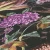 cd1e46290b34a2a1a49383cddbe00ba4