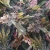 e2870194a874f62eefda341c991d47c9